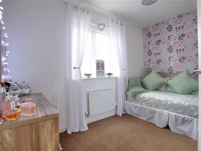 Picture 14